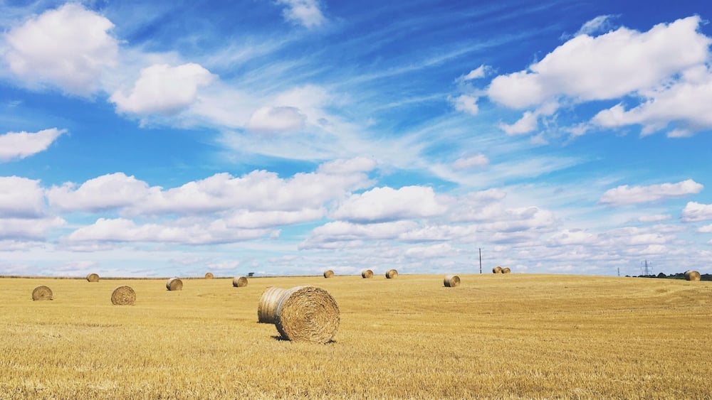 Ein Feld mit goldenem Weizen, Heuballen und einem klaren, blauen Himmel mit Wolken.