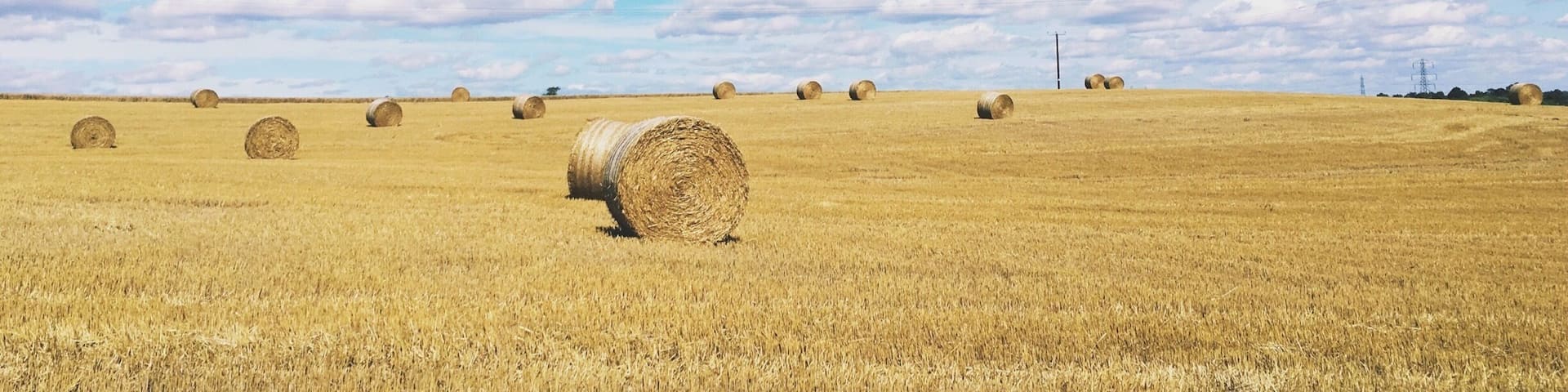 One of my favourite walks though the fields behind Coleshill church, heading down towards Maxstoke golf course.