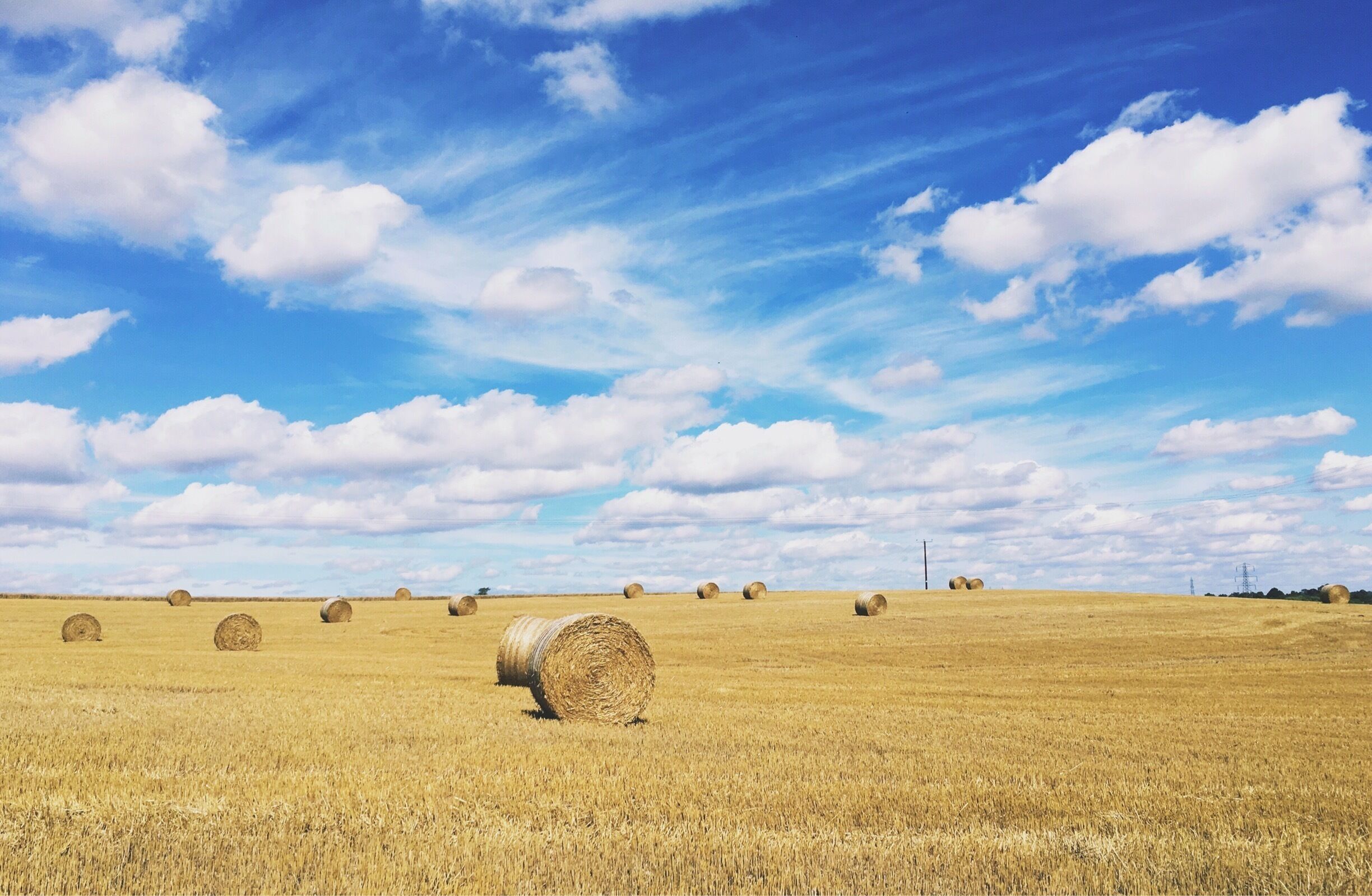 A field of golden wheat with hay bales and a clear blue sky with clouds.