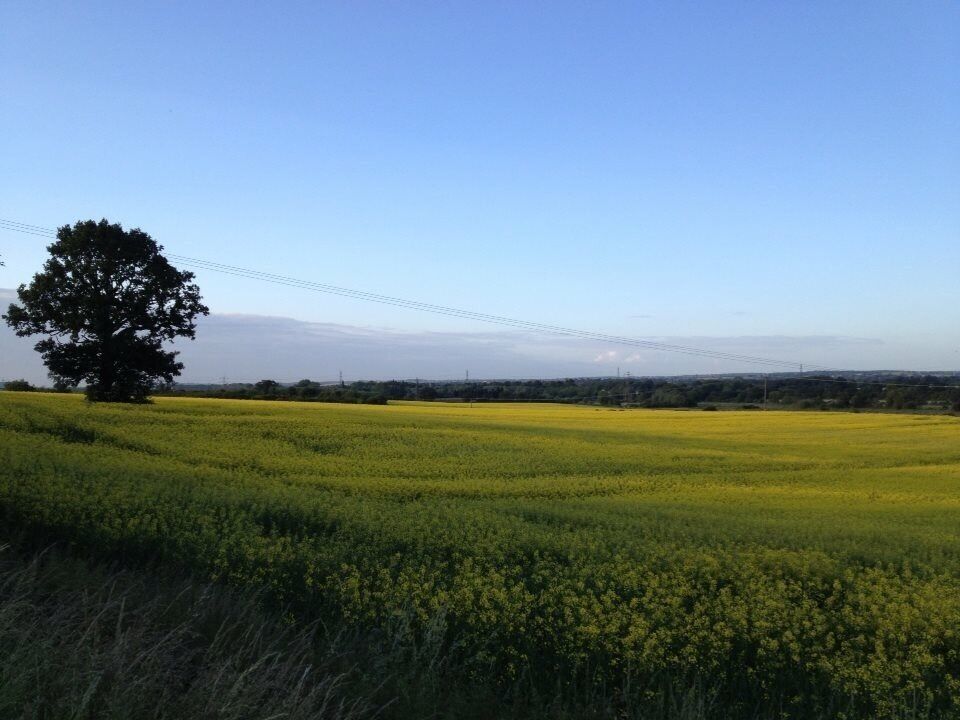 Five minutes from home, beautiful English countryside 