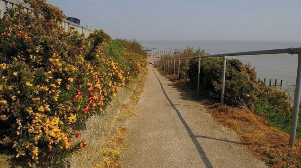 Cliff Path at Holland This is one of the cliff paths at Holland on Sea leading from the upper promenade and cycle path to the lower promenade along the sea wall.