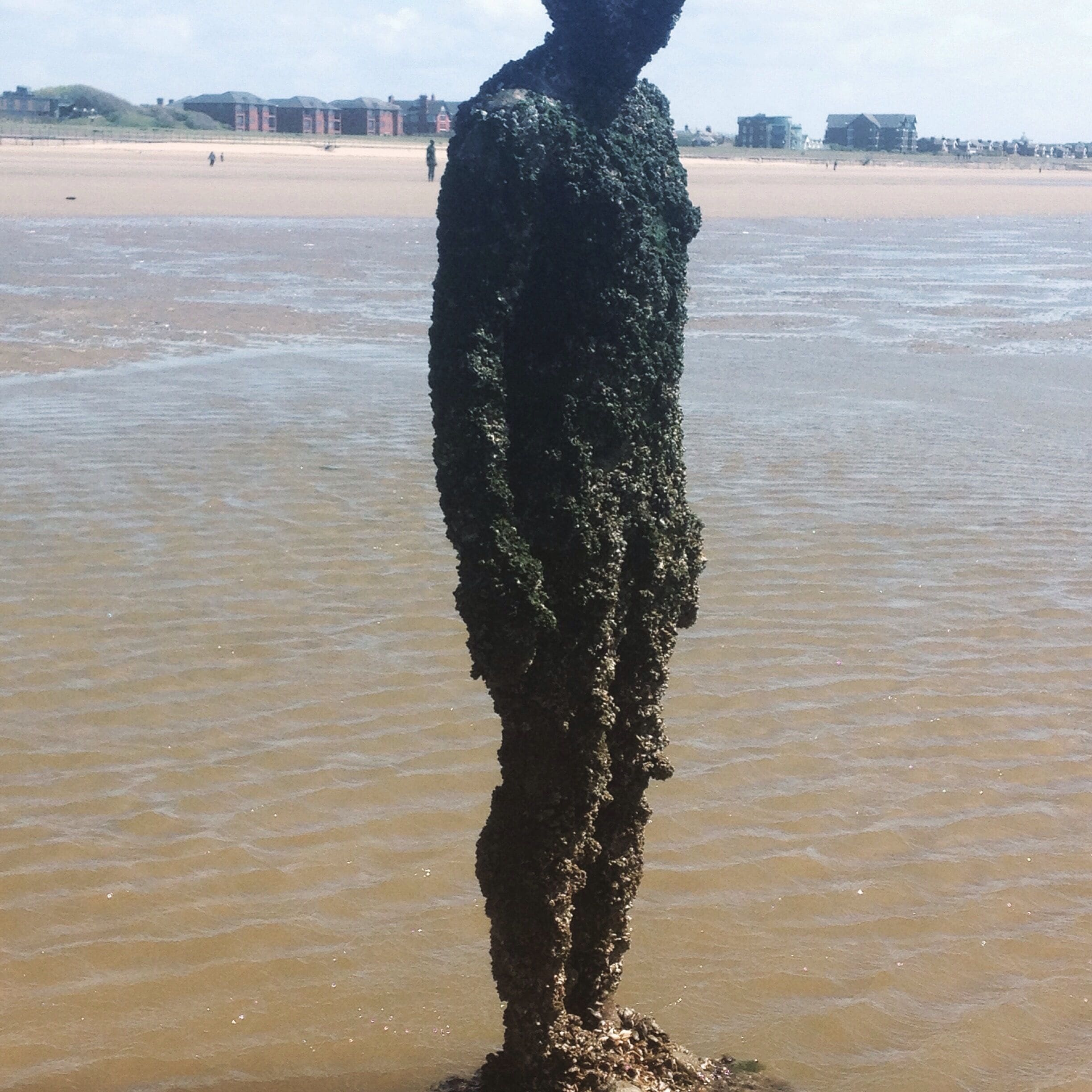 One of a hundred "Iron men" sited along Crosby beach in the north of England. Local sculptor Anthony Gormley cast his own body 10 yrs ago and these 100 statues stand dotted along the coast. Most are completely submerged when the tide comes in. The collection is called "another place". Fascinating!