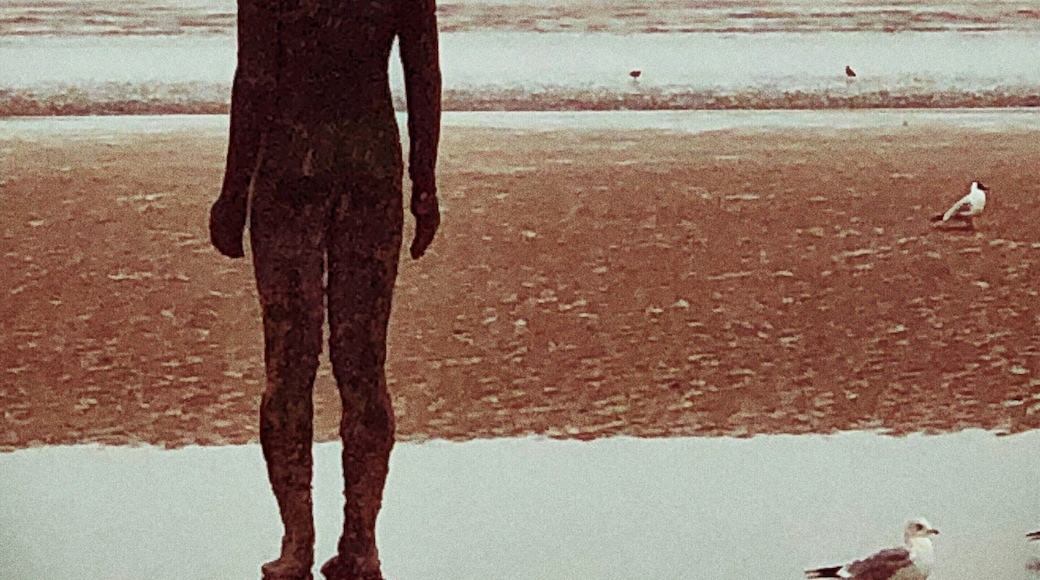 One of the famous iron men, Anthony Gormeys another place