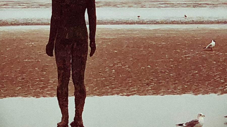 One of the famous iron men, Anthony Gormeys another place