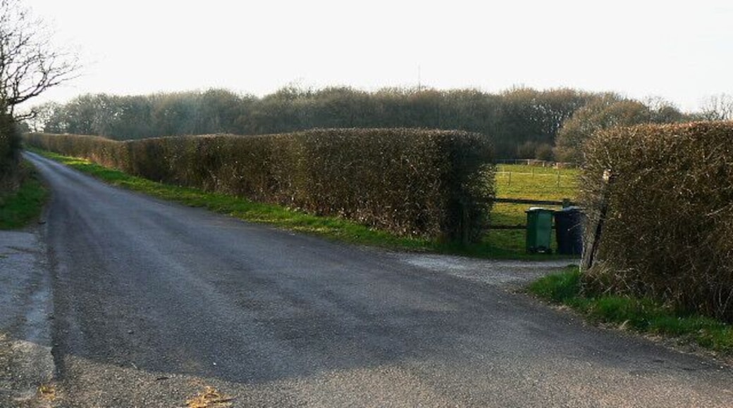 The road to Flaxlands from Hook Flaxlands is quite a way further on and can't be seen from here.