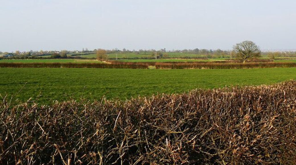 Fields near Hook Lydiard Millicent is in the distance.