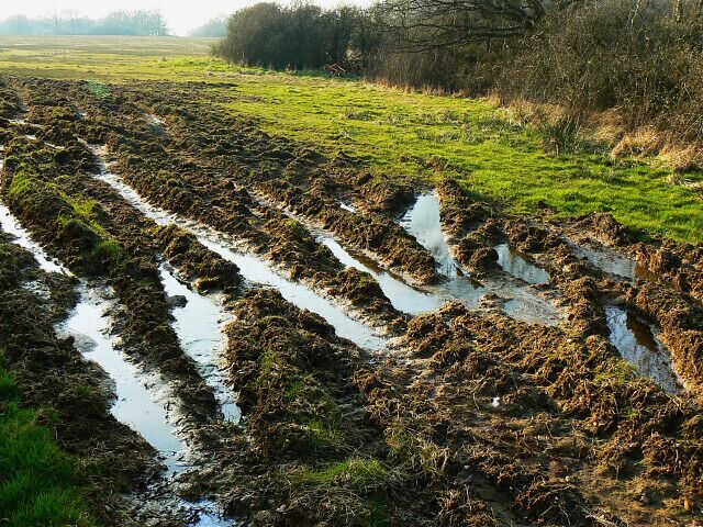 Field entrance near Hook It is stating the obvious to say the entrance is a bit muddy but it is a bit muddy.
