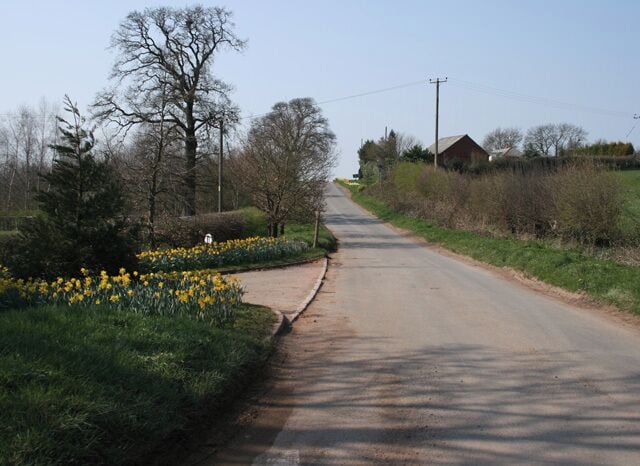 Harbours Hill Fine show of spring flowers. Madeley Heath is just over the hill.