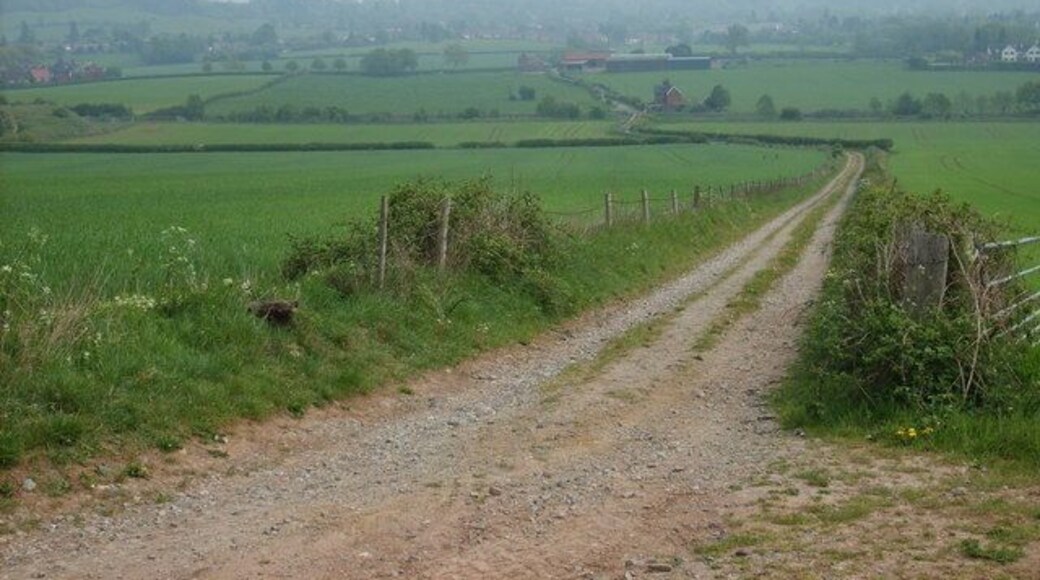 Lane to Trehern's Farm
