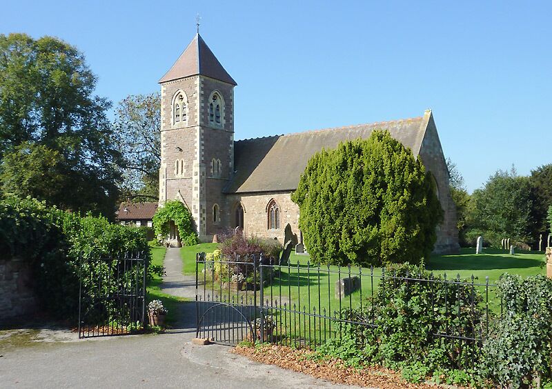 A church with a tall tower and a large tree in front.