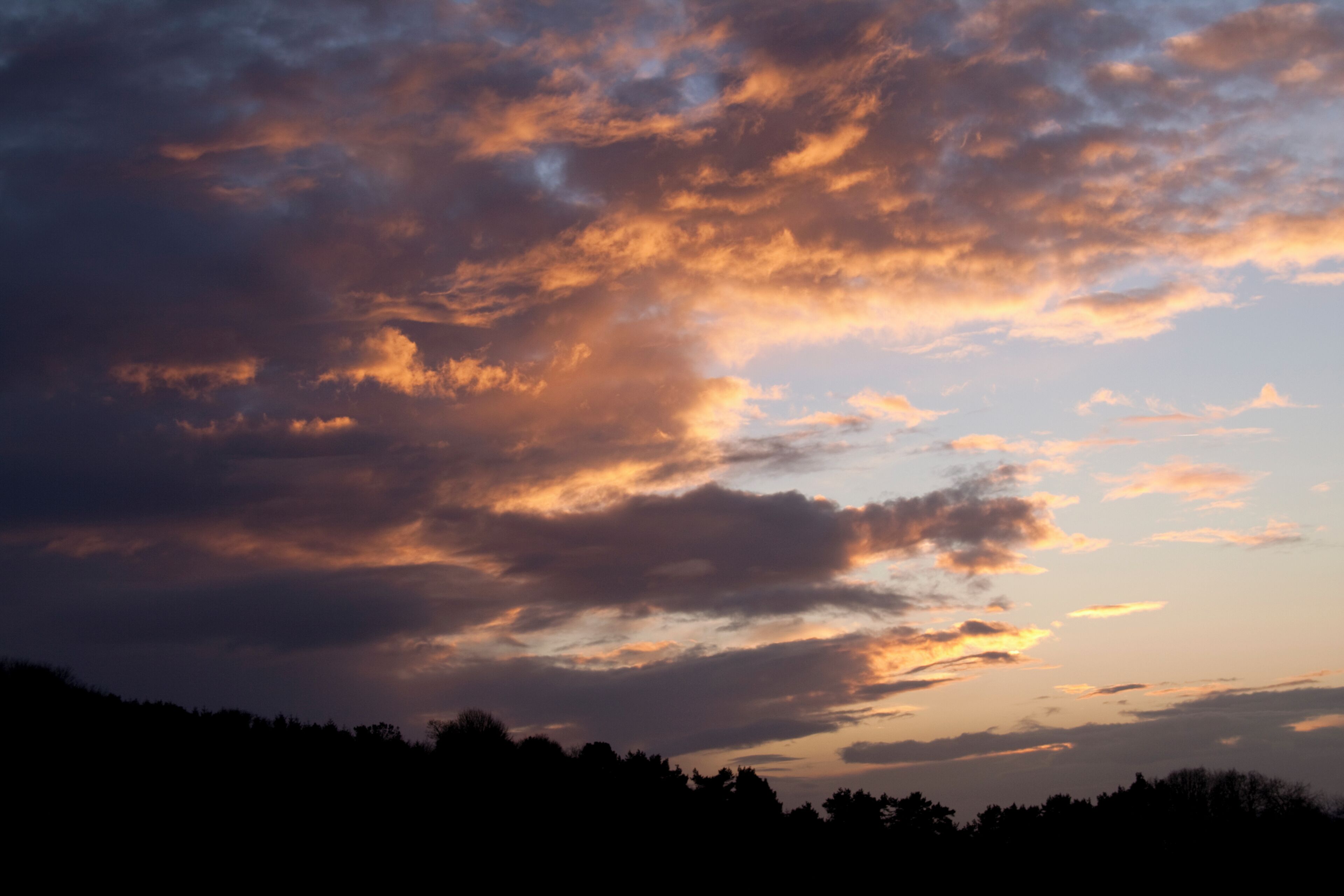 A quick walk on clent hills after a big boxing day meal