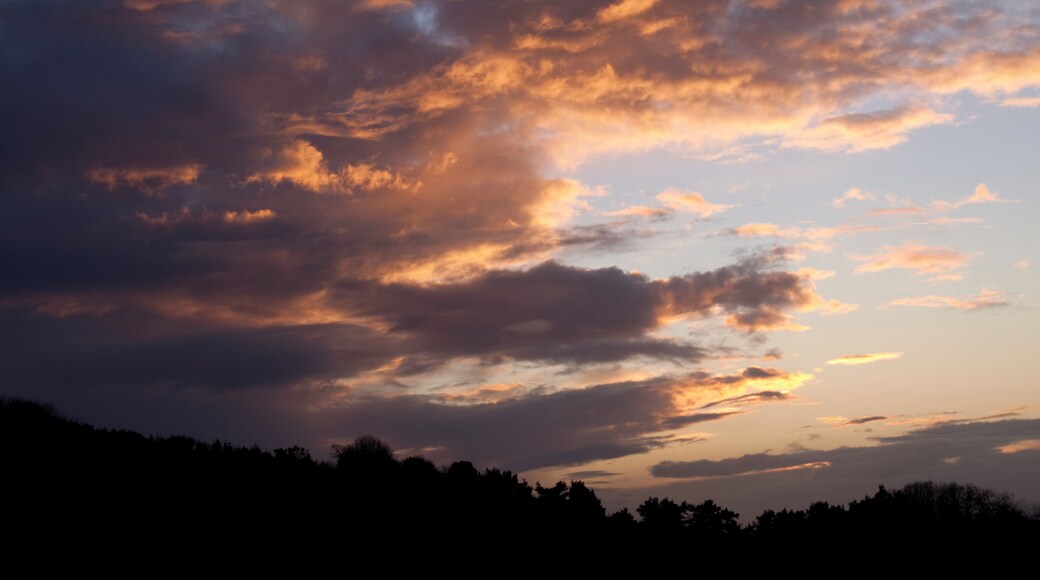 A quick walk on clent hills after a big boxing day meal