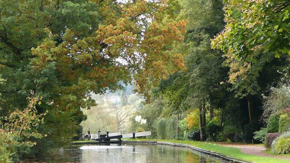 Ein ruhiger Kanal mit einer Brücke, umgeben von üppigen Bäumen und viel Grün.
