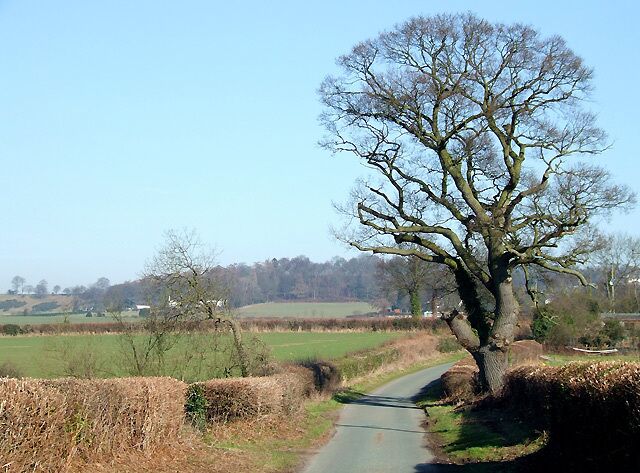 Shropshire Farmland towards Long Common The line of low hills is a prominent (sandstone) escarpment known as Abbott's Castle Hill.