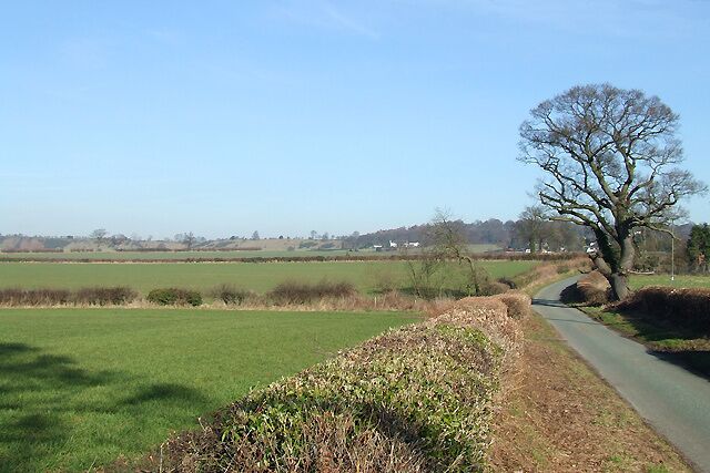 Shropshire Farmland and Lane to Long Common The low (sandstone) escarpment ahead is known as Abbott's Castle Hill.