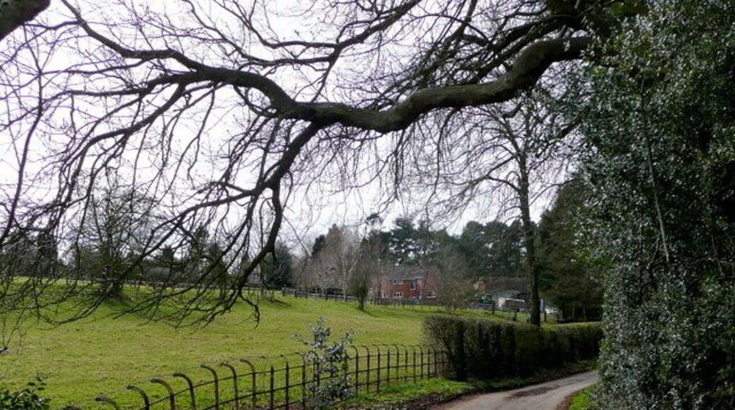 Dark Lane, Belbroughton Looking south-west towards the village. Equestrian country around here.