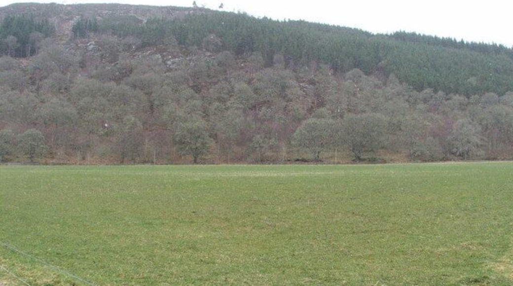 Farmland. Looking north west over grazing land with Creag an Daraich in the background.
