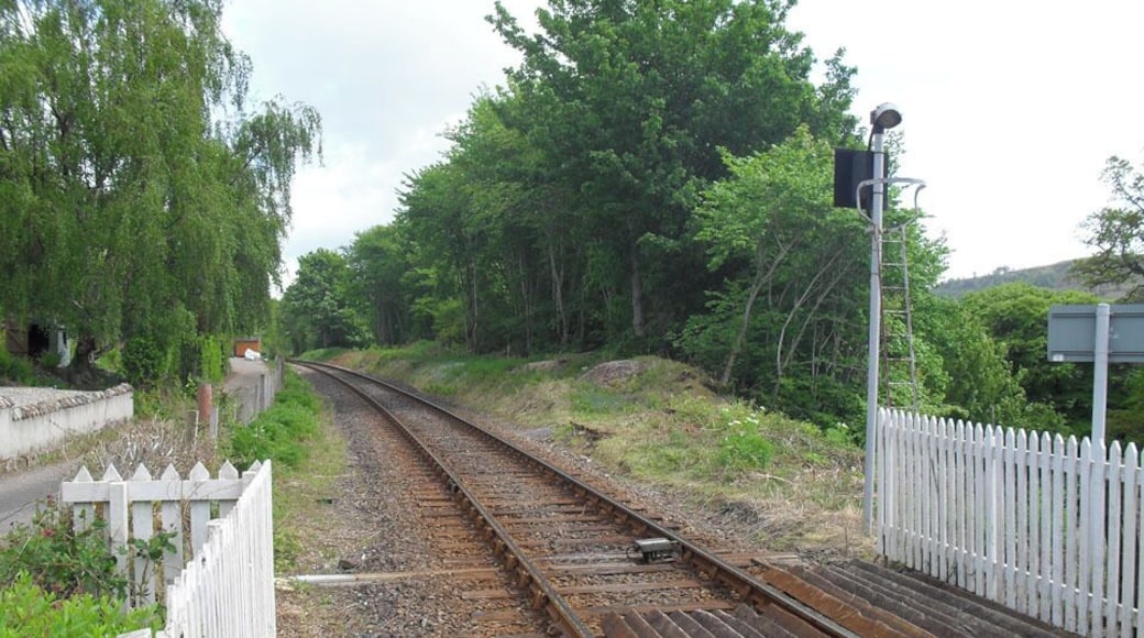 Remains of Achterneed Station, 2010