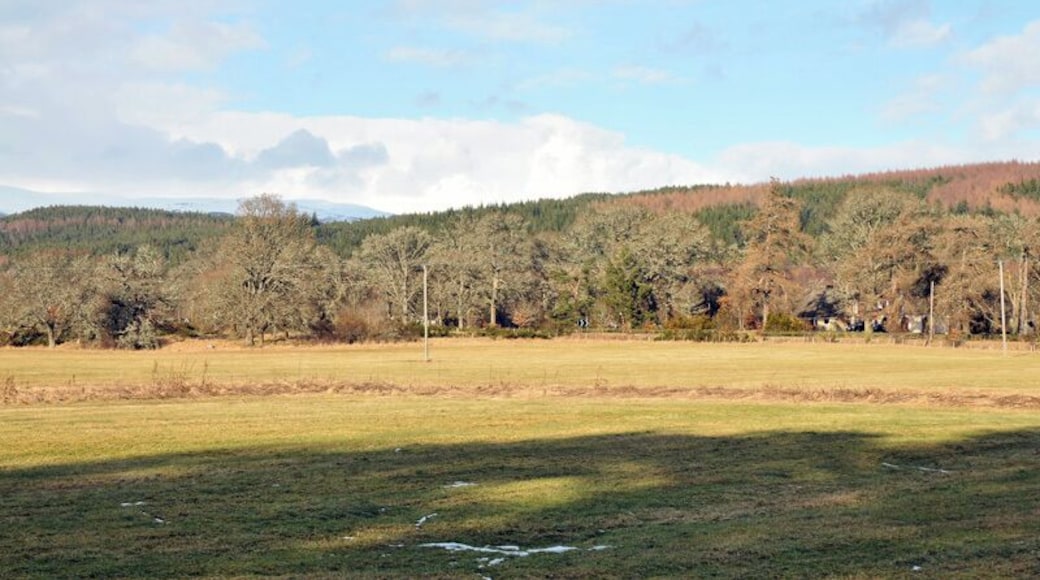 Field at Achilty