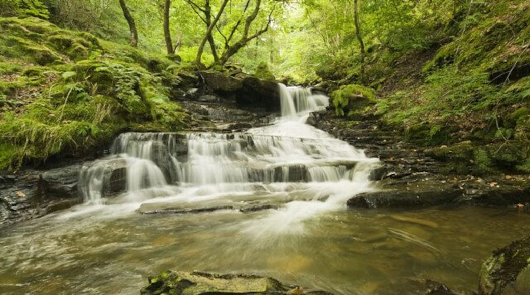 Unnamed Waterfall Melincourt Brook First Waterfall up stream from Melincourt-Falls Waterfall at junction with Cwm Syfirig