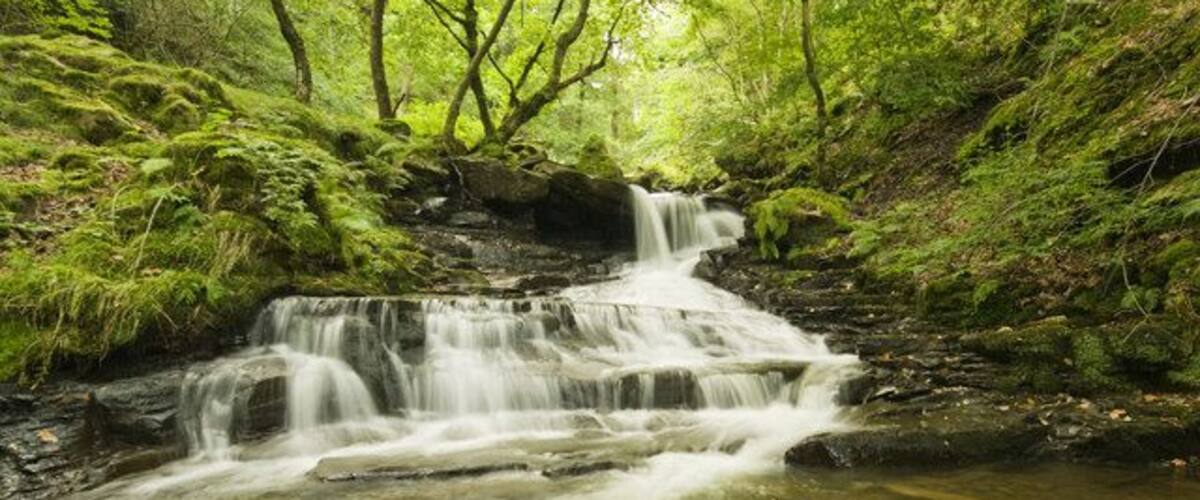 Unnamed Waterfall Melincourt Brook First Waterfall up stream from Melincourt-Falls Waterfall at junction with Cwm Syfirig
