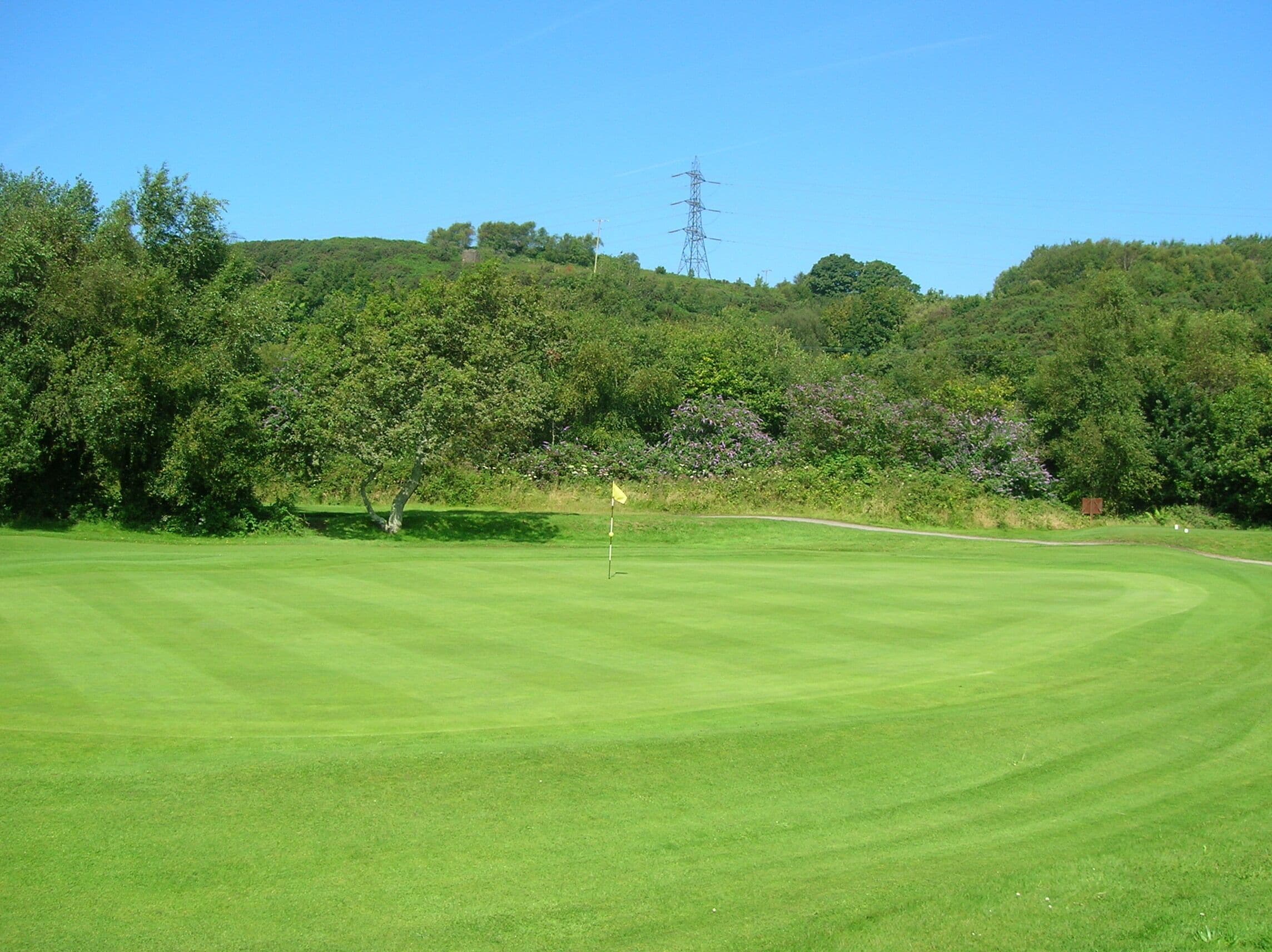 A well-manicured golf course with a clear sky, lush greenery, and a distant power line tower.