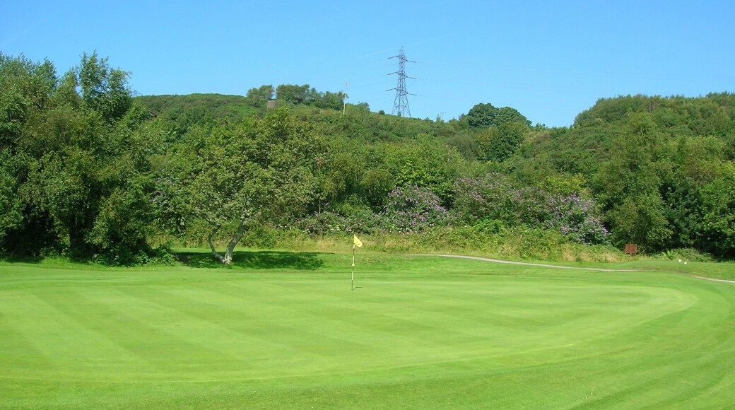 A well-manicured golf course with a clear sky, lush greenery, and a distant power line tower.