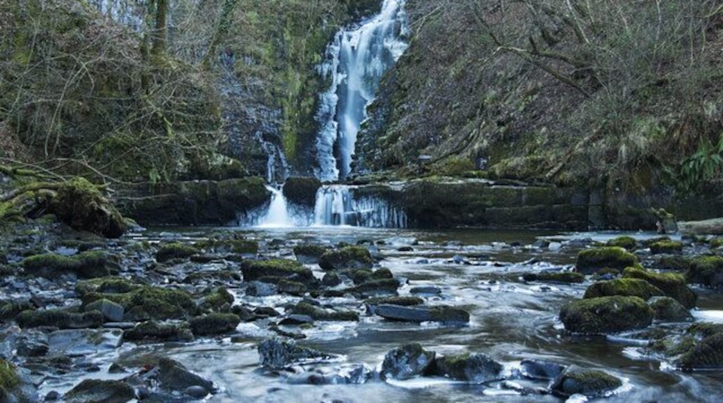 Una cascada fluye sobre rocas en un área boscosa.