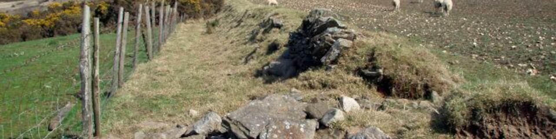 Old wall and field edge, Llwyn-erch-Idwal