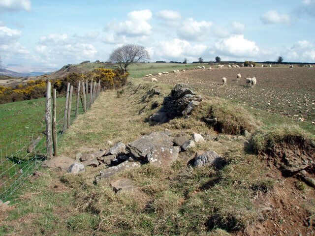 A rural landscape with a fenced field, scattered rocks, and grazing sheep.