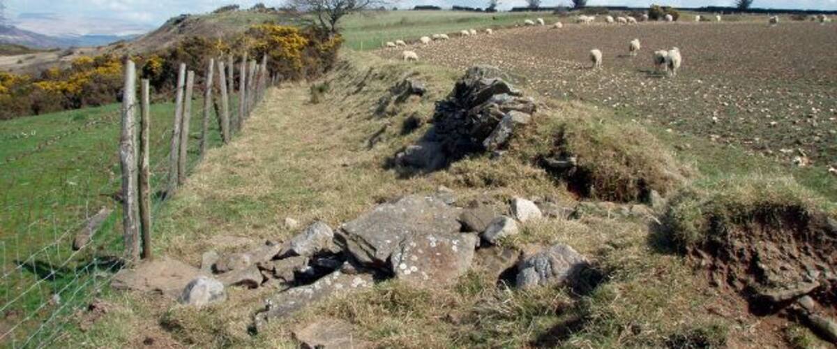 A rural landscape with a fenced field, scattered rocks, and grazing sheep.