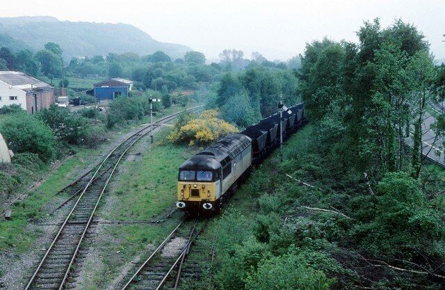 A train on railway tracks surrounded by greenery and buildings.