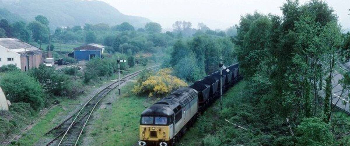 A train on railway tracks surrounded by greenery and buildings.