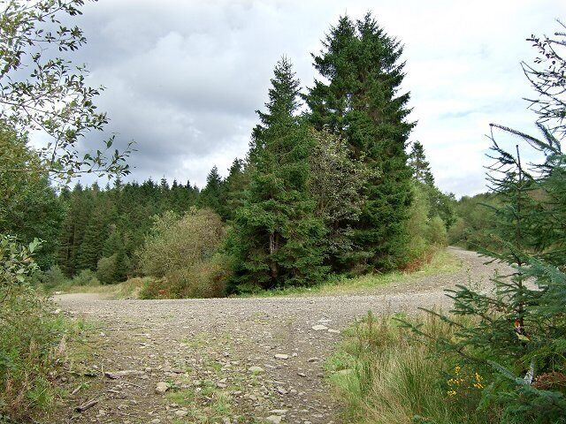 Crynant Forestry Walk
