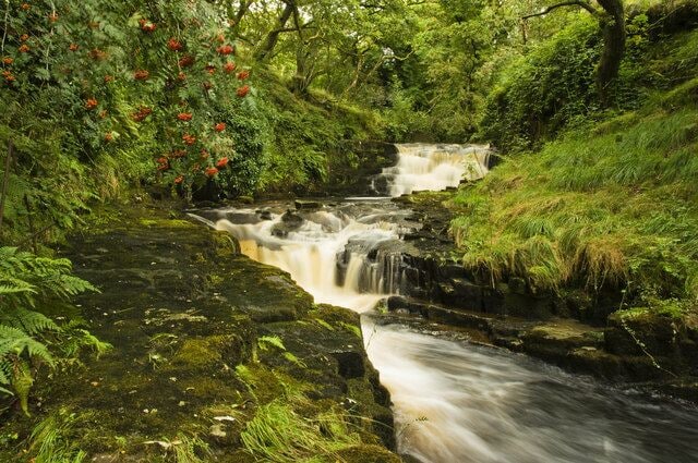 A cascading waterfall surrounded by lush greenery and ferns.