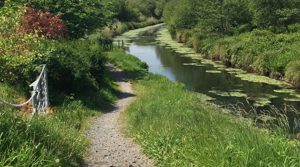 A gravel path alongside a river with green foliage and trees.