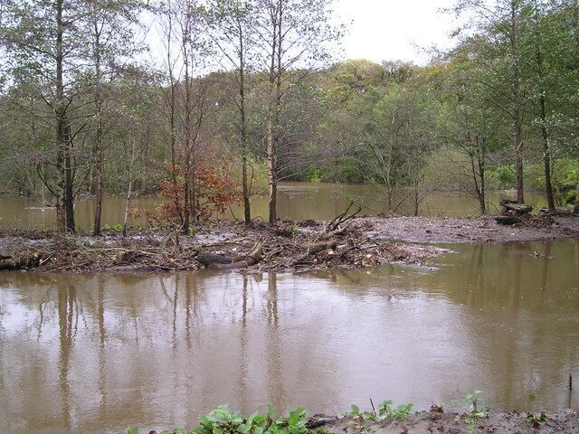 A calm river with trees and a fallen tree trunk in the foreground.