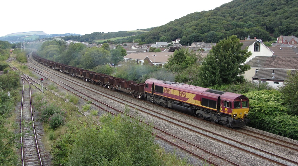 Freight train near Briton Ferry. An empty eastbound steel train heads away from Briton Ferry with locomotive No. 66041 in charge.