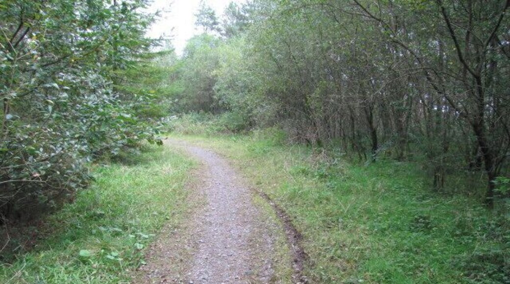 Still passing by Passing the geographical centre, looking west.