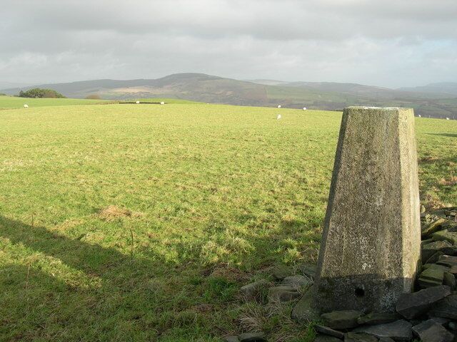 A stone post in a grassy field with sheep in the background and hills in the distance.