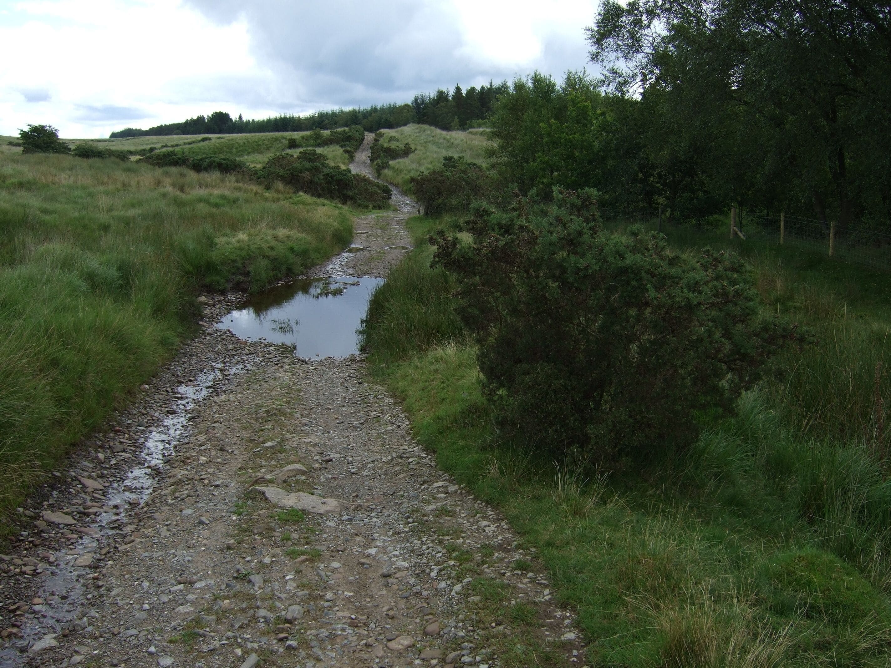 Sarn Helen Roman Road, Coed y Rhaiadr
