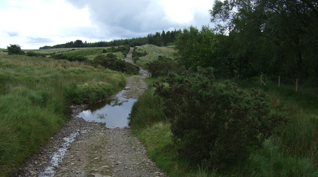 Sarn Helen Roman Road, Coed y Rhaiadr