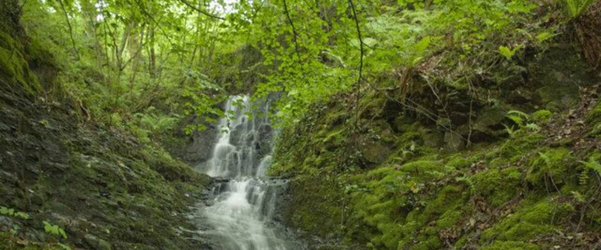 Unnamed Waterfall on Nant Llwyn-Y-Gwin This waterfall can be seen from the main road which run between Pont-Walby and Cefn Rhigos