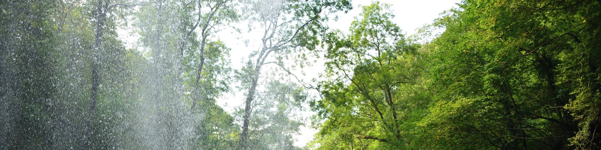The view from behind Henrhyd Falls, the tallest waterfall in South Wales.