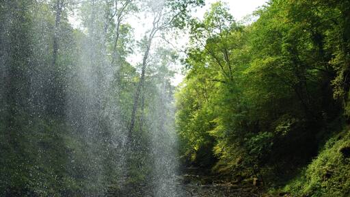 The view from behind Henrhyd Falls, the tallest waterfall in South Wales.