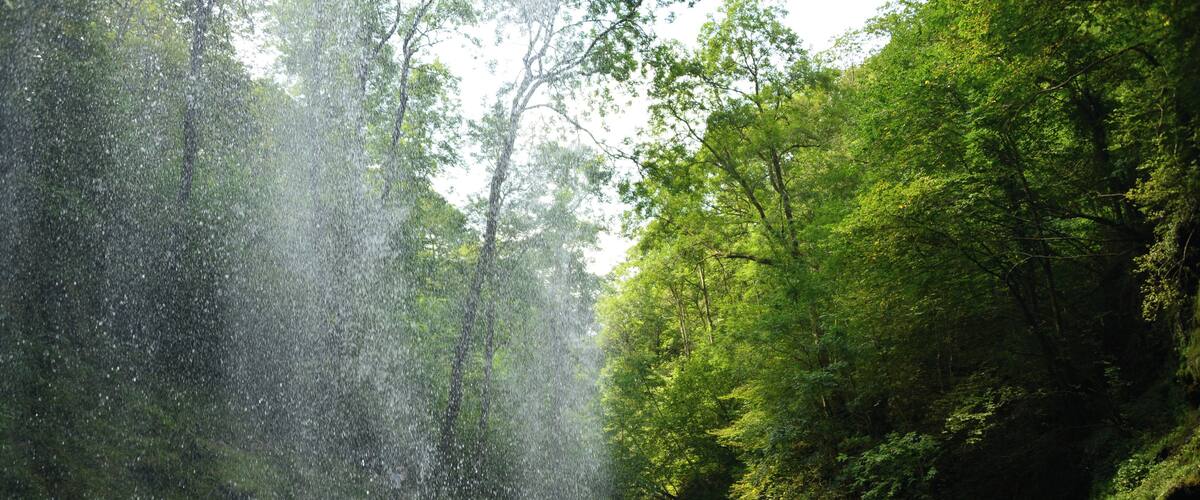 A waterfall in a forested area with dense greenery and a calm river below.