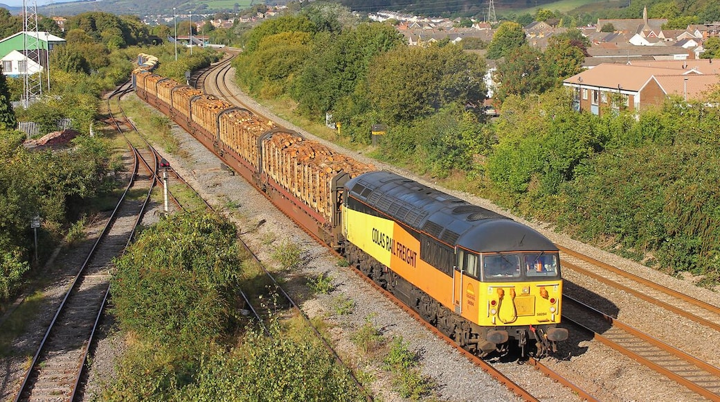 Freight Train at Briton Ferry. Freight Train leaving Briton Ferry Yard.