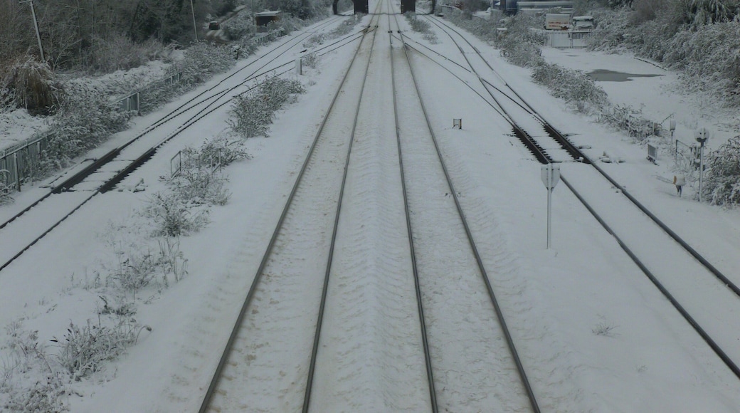 TrainTracks looking West