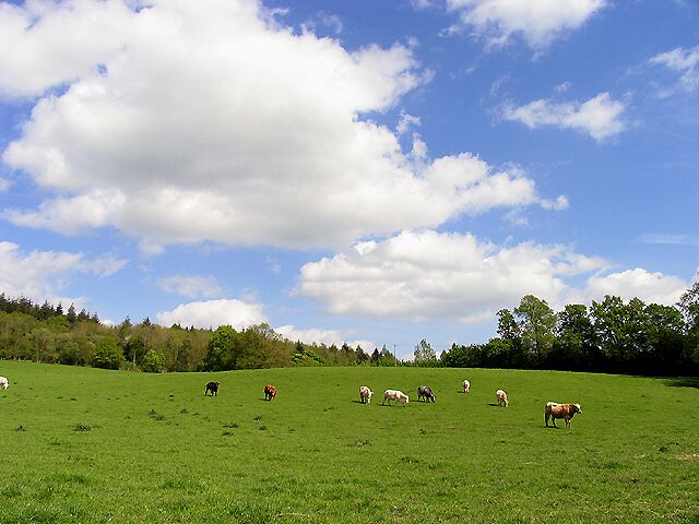 Coxland Cottage Field near Stanford Dingley. The field is to the north of the cottage and in the north eastern section of the grid square. The picture was taken from west side of the field looking more or less north east.