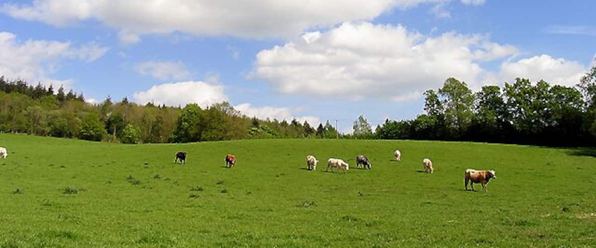 Coxland Cottage Field near Stanford Dingley. The field is to the north of the cottage and in the north eastern section of the grid square. The picture was taken from west side of the field looking more or less north east.